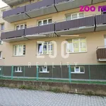 Rent 1 bedroom apartment of 24 m² in České Budějovice