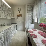 Rent 3 bedroom apartment of 74 m² in Karviná