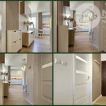 Rent 2 bedroom apartment of 50 m² in Poznan