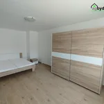 Pronajměte si 2 ložnic/e byt o rozloze 44 m² v Dnešice