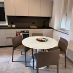 Rent 1 bedroom apartment of 70 m² in seregno