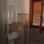 Rent 2 bedroom apartment of 50 m² in Vibo Valentia