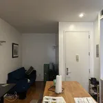 Rent 3 bedroom apartment in Williamsburg