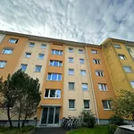 Rent 2 bedroom apartment of 62 m² in Graz