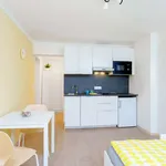 Studio o rozloze 25 m² v prague