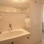 Rent 1 bedroom apartment in Rome