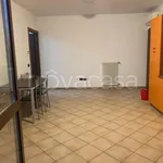 Affitto 3 camera appartamento di 80 m² in Sissa Trecasali