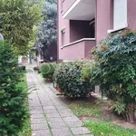 Rent 3 bedroom apartment of 100 m² in Padova