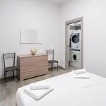 Rent 1 bedroom apartment in Bologna