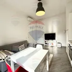 Rent 2 bedroom apartment of 55 m² in Milano