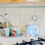 Rent 4 bedroom apartment of 110 m² in Firenze