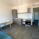 Rent 2 bedroom apartment of 40 m² in Torino