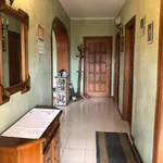 Rent 3 bedroom apartment of 120 m² in Roma