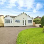 Rent 3 bedroom house in Torridge District