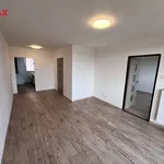 Pronájem bytu 2+1 52m²