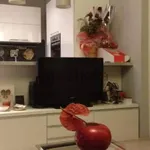 Rent 1 bedroom apartment of 45 m² in Roma