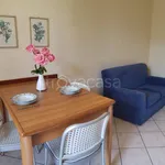 Rent 2 bedroom apartment of 36 m² in Torino