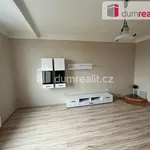 Pronajměte si 4 ložnic/e byt o rozloze 103 m² v Karlovy Vary