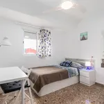 Rent 5 bedroom apartment in Valencia