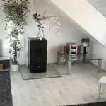 Rent 1 bedroom apartment of 9 m² in Köln