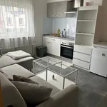 Rent 2 bedroom apartment of 31 m² in Frankfurt am Main