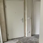 Miete 2 Schlafzimmer wohnung von 48 m² in Gelsenkirchen