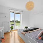 Pronajměte si 2 ložnic/e byt o rozloze 57 m² v Hradec Králové