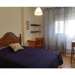 P.º Bajada del Río, Salamanca - Amsterdam Apartments for Rent