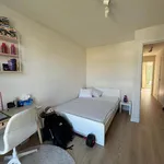 Rent 1 bedroom apartment in Gent