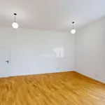 Rent 2 bedroom apartment in Pelhřimov