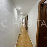 Alquilar 1 dormitorio apartamento en Valencia