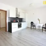 Rent 1 bedroom apartment of 36 m² in Prague