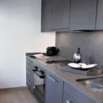 Rent 1 bedroom apartment of 30 m² in Zurich