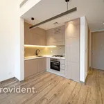 Rent 1 bedroom apartment of 47 m² in Dubai