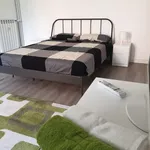 Rent 1 bedroom apartment of 50 m² in Roma