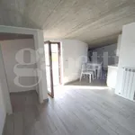 Rent 1 bedroom apartment of 36 m² in Aprilia