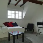 Rent 1 bedroom apartment of 14 m² in ORLEANS