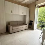 Rent 1 bedroom apartment of 26 m² in MILANO