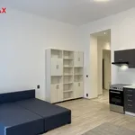 Rent 1 bedroom apartment of 40 m² in mesto