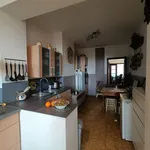 Rent 1 bedroom apartment in Frameries