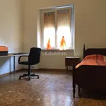 Rent 3 bedroom apartment of 80 m² in torino