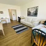 Rent 1 bedroom apartment in Old Toronto