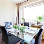 Rent 3 bedroom apartment of 80 m² in Düsseldorf