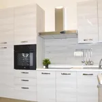 Rent 11 bedroom apartment in Modena