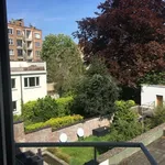 Rent 1 bedroom apartment in Aalst