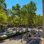 Rent a room of 122 m² in Barcelona