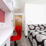 Rent 1 bedroom flat in Coventry