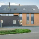 Rent 2 bedroom apartment of 104 m² in Herk-de-Stad