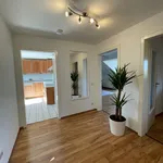 Rent 2 bedroom apartment of 65 m² in Köln