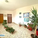 Affitto 3 camera appartamento di 120 m² in Palermo